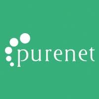 Pure Net Wealth